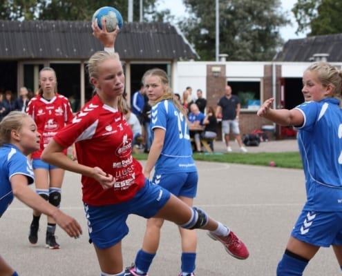 dss handbalvereniging