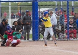 Honk- en Softbalverenigingen