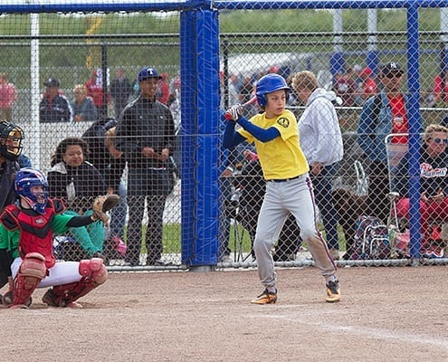 Honk- en Softbalverenigingen