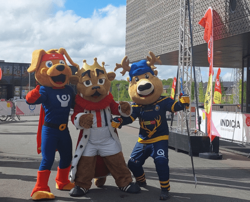 Cluppie, Kingo en Bucky bij de Verbeeten Challenge